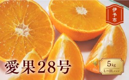 【ふるさと納税】みかん 愛媛 愛果28号 5kg 贈答用 L〜2L キャップ付き 人気 数量限定 先行予約 柑橘 伊予市 【2024年12月発送】｜B84