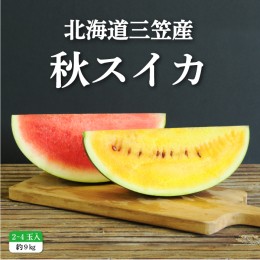 【ふるさと納税】《2024年分受付中》秋に収穫される赤色スイカor黄色スイカ2〜4玉(約9kg)【01149】