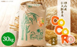 【ふるさと納税】＜突鉱土育ち＞巨大胚芽米CoCoRo 30kg TY0-0153