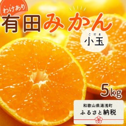 【ふるさと納税】DI6018n_【2024年 先行予約】和歌山県産 有田みかん 小玉 5kg 訳あり