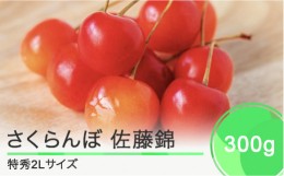 【ふるさと納税】 先行予約 さくらんぼ 佐藤錦 特秀2Lサイズ プレゼント ギフト 化粧箱入 300g 2025年産 令和7年産 山形県産 ns-snt2x300