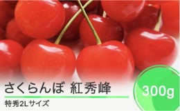 【ふるさと納税】 さくらんぼ 紅秀峰 特秀2Lサイズ 300g プレゼント ギフト 化粧箱鏡詰め 2024年産 令和6年産 山形県産 ns-bst2x300