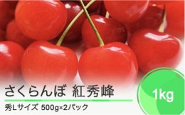 【ふるさと納税】 さくらんぼ 紅秀峰 秀Lサイズ 1？ バラ詰め 化粧箱 (500g×2)  2024年産 令和6年産 山形県産 ns-bsslb1