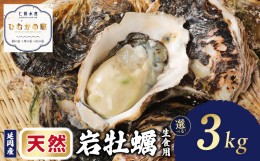 【ふるさと納税】延岡産天然岩牡蠣（生食用）3kg（2024年4月1日から発送開始）