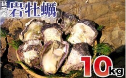 【ふるさと納税】延岡産天然岩牡蠣（生食用）10kg（2024年4月1日から発送開始）