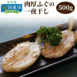 【ふるさと納税】肉厚ふぐの一夜干し500g_1317R