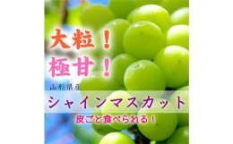 【ふるさと納税】《令和6年産先行受付》山形県産 大房大粒シャインマスカット 約700g〜800g FSY-0015