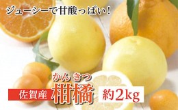 【ふるさと納税】b-375 柑橘 詰め合わせ 佐賀 産 約 2kg | 佐賀県 産 柑橘 みかん オレンジ 旬 人気 詰め合わせ