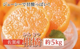 【ふるさと納税】c-104 柑橘 詰め合わせ 佐賀 産 約 5kg | 佐賀県 産 柑橘 みかん オレンジ 旬 人気 詰め合わせ