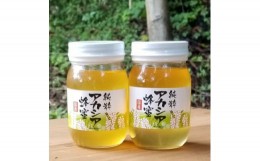 【ふるさと納税】＜青森県十和田市産＞アカシア蜂蜜550g　2本セット【1351650】