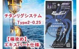 【ふるさと納税】チタンリグシステム　Type2-0.25　【極攻め】エキスパート仕様＜吉見製作所＞