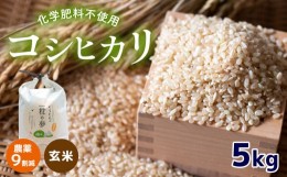 【ふるさと納税】農薬9割減 ・ 化学肥料不使用 コシヒカリ(玄米)  5kg ｜ 有機農産物認証推進協会認定 玄米 お米 米 こしひかり 農薬減 