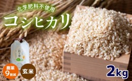 【ふるさと納税】農薬9割減 ・ 化学肥料不使用 コシヒカリ(玄米)  2kg ｜ 有機農産物認証推進協会認定 玄米 お米 米 こしひかり 農薬減 