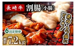 【ふるさと納税】【6回定期便】長崎牛 割腸（小腸） 焼肉・ホルモン 鍋 用 1.2kg  / ホルモン 牛 もつ鍋 南島原市 / はなぶさ [SCN119]