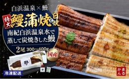 【ふるさと納税】特大うなぎ蒲焼き、特大うなぎ白焼き　各1本セット（タレ・山椒付き）（合計：300〜400ｇ)