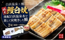 【ふるさと納税】特大うなぎ白焼き2本セット（合計：300〜400ｇ)