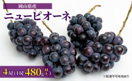 【ふるさと納税】ぶどう 2024年 先行予約 ニュー ピオーネ 4房（1房480g以上）約2kg ブドウ 葡萄  岡山県産 国産 フルーツ 果物 ギフト