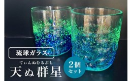 【ふるさと納税】［琉球ガラス］「天の群星(てんぬむるぶし)」 ロックグラス2個セット