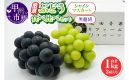 【ふるさと納税】厳選 葡萄食べ比べセット 1.0kg 2房入り【2024年発送】（IS）B-474