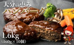 【ふるさと納税】大分の恵みハンバーグ 1.6kg (160g×10個) 牛肉 豚肉 ハンバーグ 弁当 惣菜 冷凍 共通返礼品 中津市 豊後高田市 日出町 