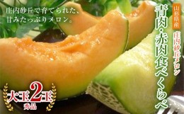 【ふるさと納税】《先行予約 令和6年度産》庄内砂丘メロン青肉・赤肉食べくらべ 大玉 秀品 2玉 FSY-0190