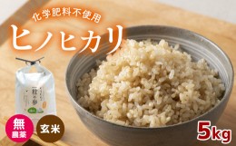 【ふるさと納税】無農薬 ・ 化学肥料不使用 ヒノヒカリ(玄米) 5kg ｜ 有機農産物認証推進協会認定 玄米 お米 米 ひのひかり こだわり 美