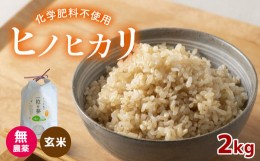 【ふるさと納税】無農薬 ・ 化学肥料不使用 ヒノヒカリ(玄米) 2kg ｜有機農産物認証推進協会認定  玄米 お米 米 ひのひかり こだわり 美