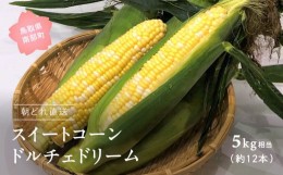 【ふるさと納税】【KN03】南部町産 朝採れスイートコーン（バイカラー種ドルチェドリーム）5kg箱＜数量限定＞