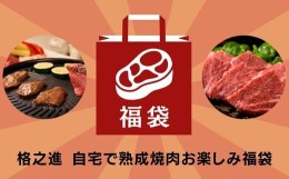 【ふるさと納税】《格之進》自宅で熟成焼肉お楽しみ福袋 門崎熟成肉 カルビ モモ 【 肉 牛肉 熟成肉 福袋 詰め合わせ 焼肉 ギフト 贈答品