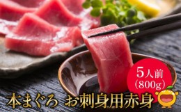 【ふるさと納税】本マグロ まぐろお刺身用 赤身5人前(800g) 鮪 海鮮丼 刺し身 刺身 盛り合わせ 冷凍 魚の刺身 大分県産 九州産 津久見市 