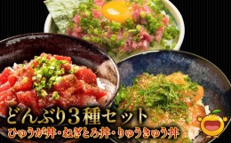 【ふるさと納税】どんぶり3種セット ぶりのりゅうきゅう丼・ひゅうが丼・ねぎとろセット ねぎとろ 鮪丼 まぐろ 大分県産 九州産 津久見市