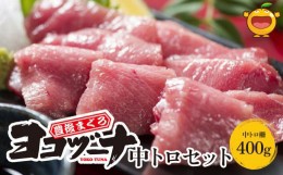 【ふるさと納税】豊後まぐろ ヨコヅーナ刺身用・中トロ 400g 鮪 マグロ 海鮮丼 刺し身 盛り合わせ 冷凍 魚の刺身 大分県産 九州産 津久見