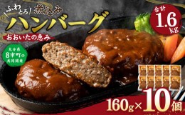 【ふるさと納税】おおいたの恵み ハンバーグ 1.6kg（160g×10個） 個包装 牛肉 豚肉 惣菜