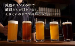 【ふるさと納税】高知生まれのクラフトビール「山本麦酒」5本詰め合わせセット