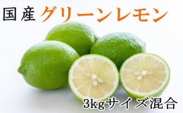 【ふるさと納税】【産直】和歌山産グリーンレモン約3kg（サイズ混合）★2024年10月下旬頃より順次発送