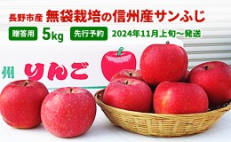 【ふるさと納税】先行予約 長野市産無袋栽培の信州産サンふじ5kg（贈答用）2024年発送