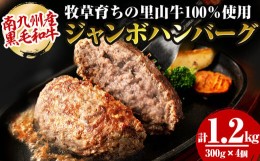 【ふるさと納税】牧草育ちの里山牛100%使用!手作りジャンボハンバーグ 1.2kg (300g×4個) a5-230