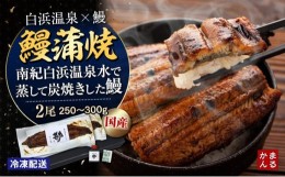 【ふるさと納税】うなぎ蒲焼き2本セット（タレ・山椒付き）（合計：250〜300ｇ)