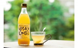 【ふるさと納税】はちみつじゃばら500ml×2本　北山村産じゃばらを使用