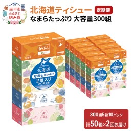 【ふるさと納税】【2回お届け・計100箱】エリエール 北海道ティシューなまらたっぷり 300組5箱×10パック 大容量 日用品 トイレ 消耗品