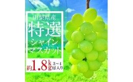 【ふるさと納税】山梨県山梨市産　特選　旬の採れたてシャインマスカット　約1.8kg　3〜4房【1365850】