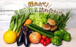 【ふるさと納税】とれたて 野菜 パック  季節の野菜 セット 詰め合わせ 10品前後 野菜セット 野菜詰め合わせ ジャガイモ 人参 大根 小松