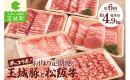 【ふるさと納税】お肉の定期便 玉城豚と松阪肉の夢のコラボ！
