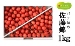 【ふるさと納税】No.2403さくらんぼ（佐藤錦バラ1kg)【2024年発送】