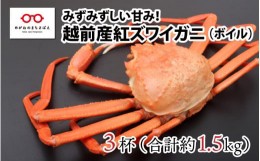 【ふるさと納税】【越前産】紅ずわいがに 3杯 合計1.5kg前後 [C-11005]