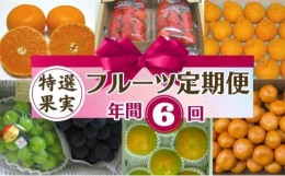 【ふるさと納税】フルーツ 定期便 特産果実 年間6回