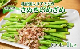 【ふるさと納税】令和6年産　はなまる農園の乳酸菌入りアスパラ【さぬきのめざめ1kg】М〜L