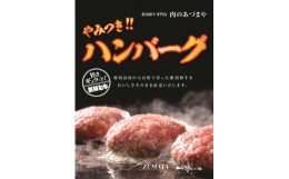 【ふるさと納税】やみつきハンバーグ（3個入）〔P-57〕≪ 那須和牛 那須産豚 肉 牛肉 豚肉 ≫