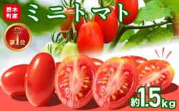 【ふるさと納税】T02 栃木県野木町産ミニトマト小箱（約1.5kg）
