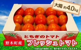 【ふるさと納税】T03 栃木県野木町産トマト大箱（約4kg）